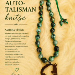 Auto talisman